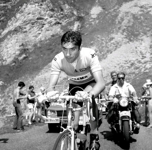 Les Légendes Du Cyclisme Eddy Merckx