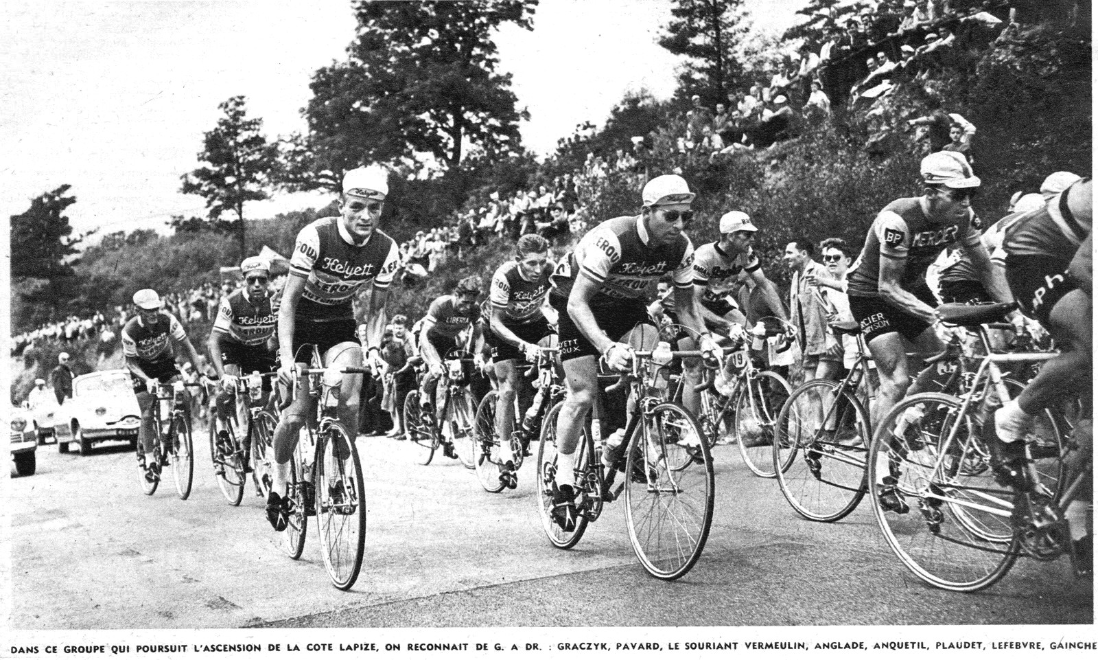 Photo Vintage De Coureurs Cyclistes - Équipe Dilecta Années 1950 - Collection Cyclisme Rétro - Club Français
